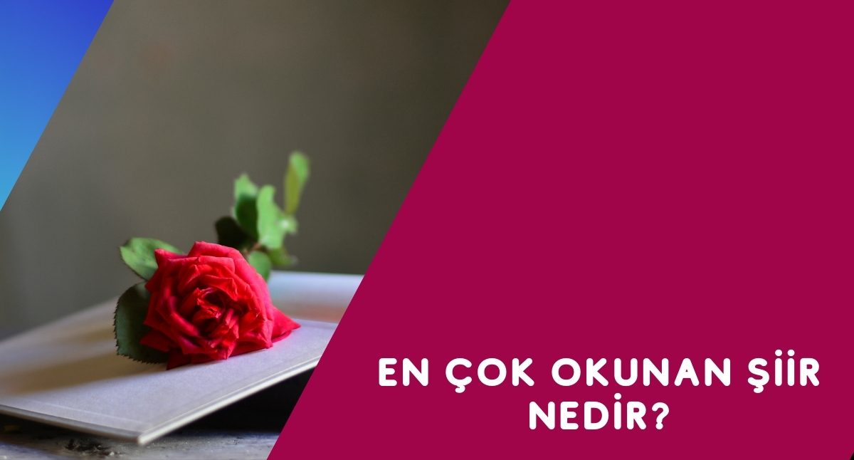 En çok okunan şiir nedir?